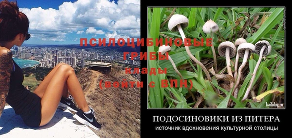наркотики Дмитриев