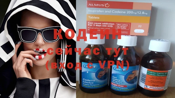 бошки Дмитров